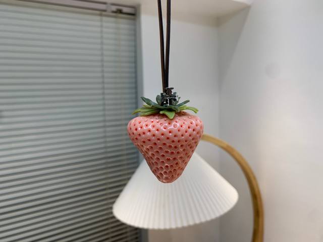 Tory Burch 草莓包挂 粉色 自从在小红书翻到这个草莓就觉得怎么这么好看，可可爱爱的，提着菜篮子来搭配试试看，也能搭配别的包，红色和粉色都很好看，红色草