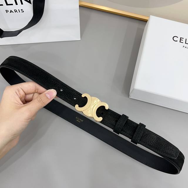 Celine 2.5cm Arc de Triomphe Logo Gold and Silver Buckle Suede Trendy Belt, the