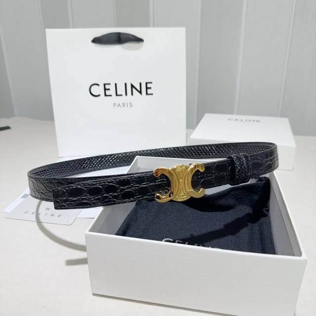 Celine Arc de Triomphe Snakeskin Waistband