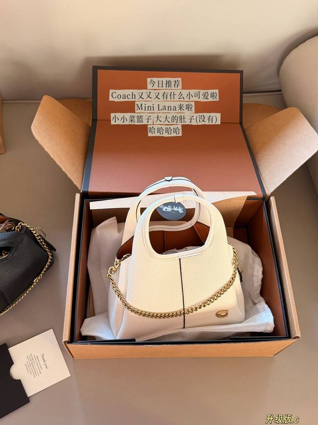 配盒 升级版 Size：20*15Cm C家 Lana 迷你菜篮子 菜篮子新款+ 也太美了，手感超柔软 内有隔层 爆款体质！菜篮子包真滴狠好看吖