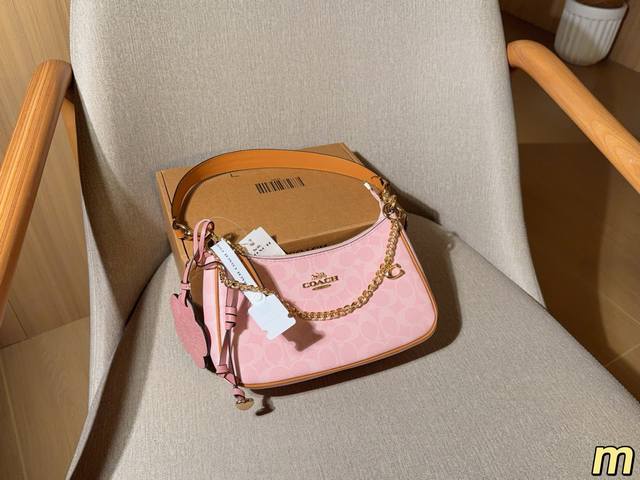 250 蔻驰Coach 经典Teri 新品Hobo腋下包月牙包麻将包斜挎包 尺寸24×13×6 礼盒包装M
