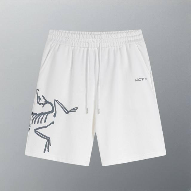 p120 High Version Arc'teryx 2024 Classic Logo Creative Print Made of 360G Pure C