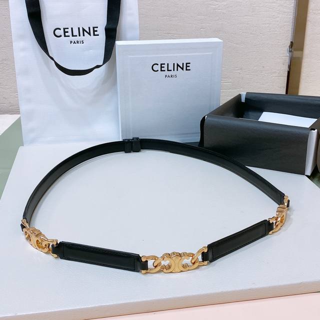 p270 Authentic Celine purchase, exclusive first release: Triomphe Gourmette smal