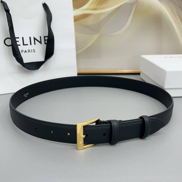200--Celine 3.0Cm Arc de Triomphe new belt with pin buckle, gold and silver two-