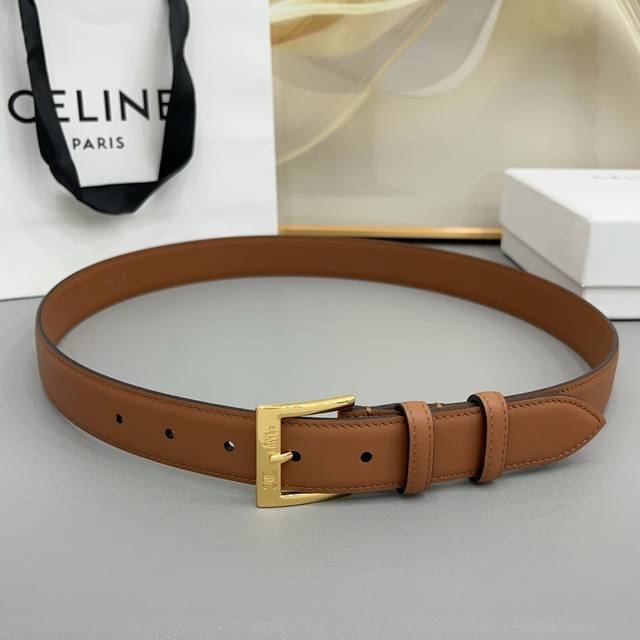 200--Celine 3.0Cm Arc de Triomphe new belt with pin buckle, gold and silver two-